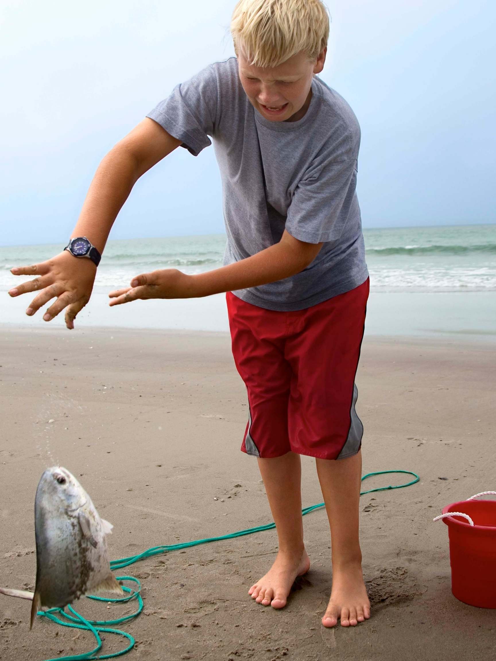 Does dropping a fish hurt it