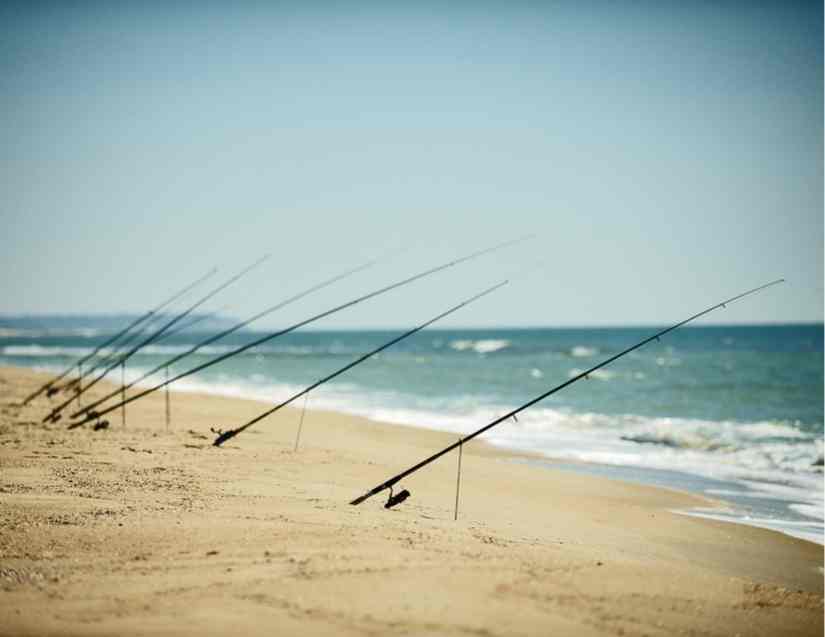 Best-size-rod-for-surf-fishing