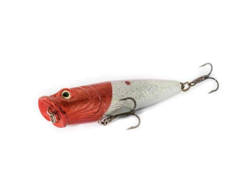 Medium-light-rod-uses-include-lures-like-this-red-and-white-popper