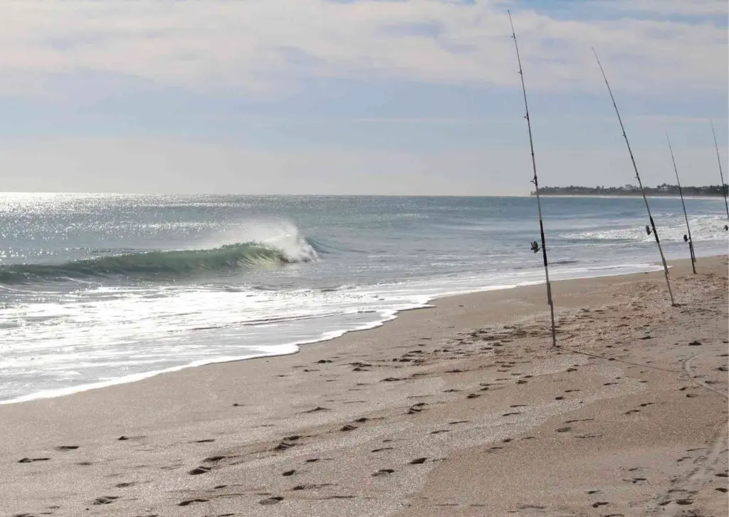 fishing rods on the beach for pompano fishing gear
