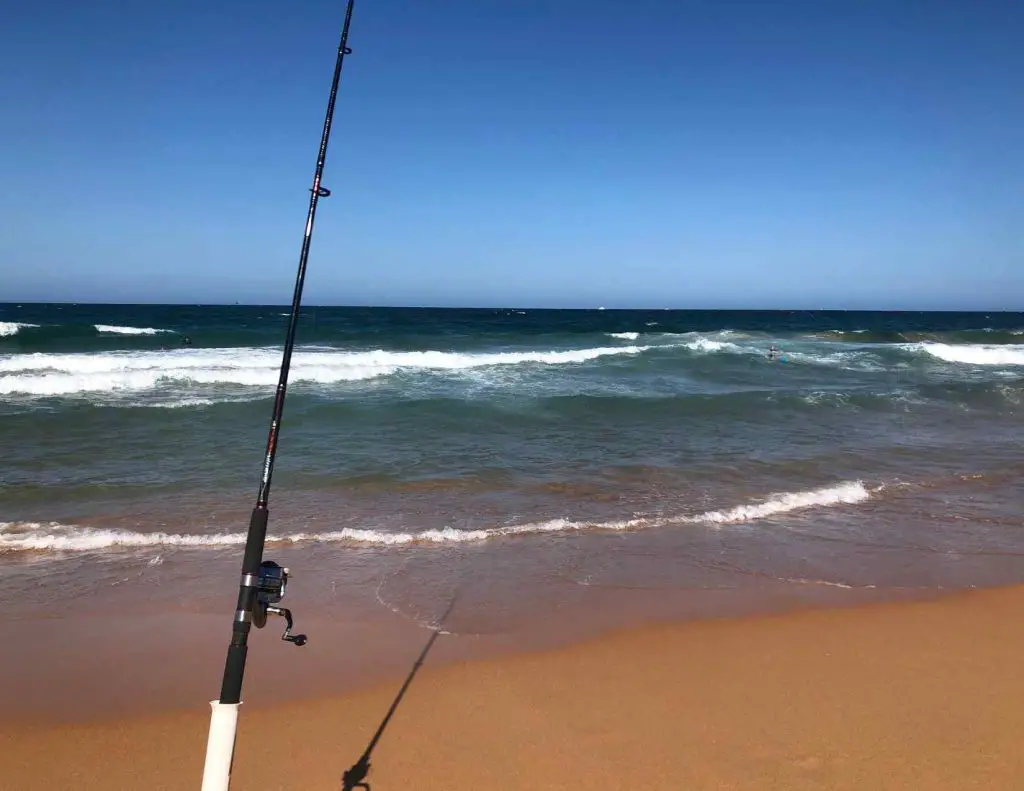 Checking my surf rod on the beach contemplating an Ugly Stik Bigwater rod review